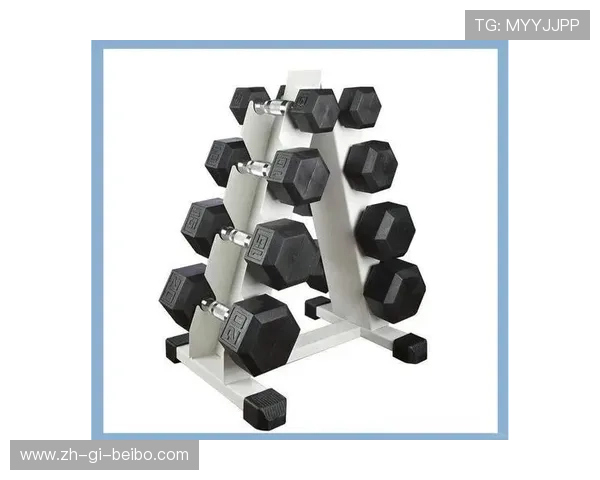 力量训练必备健身器材哑铃种类与选择建议